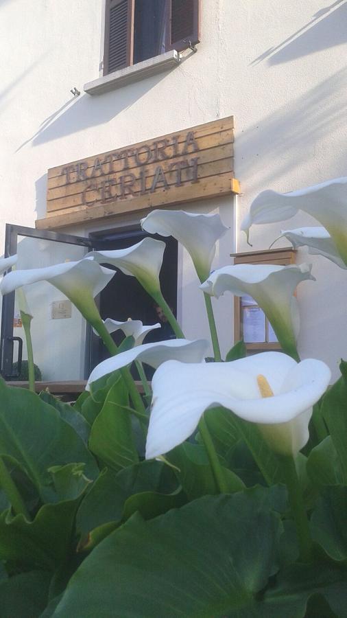 Trattoria Ceriati Room & Breakfast Salsomaggiore Terme Exteriör bild